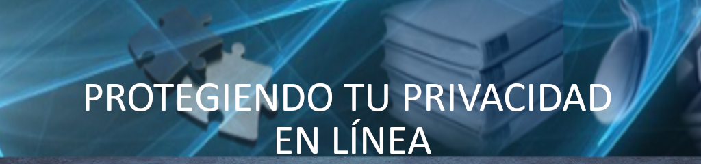 Protegiendo tu privacidad en línea: Navegando seguro en la era digital